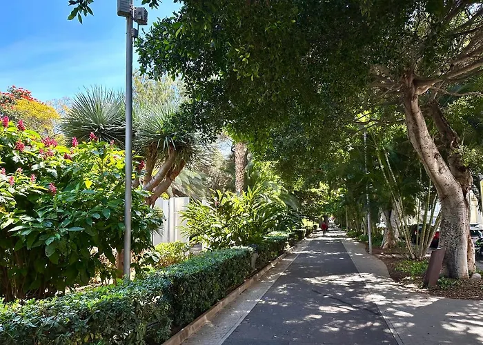 Daire Centrico Y Moderno Junto Al Parque Santa Cruz de Tenerife